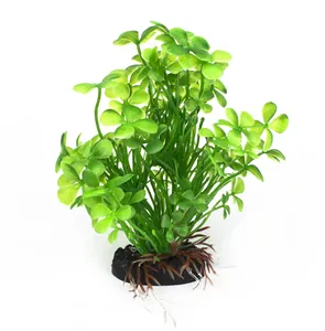 AQ Plant Irish Clover 10cm