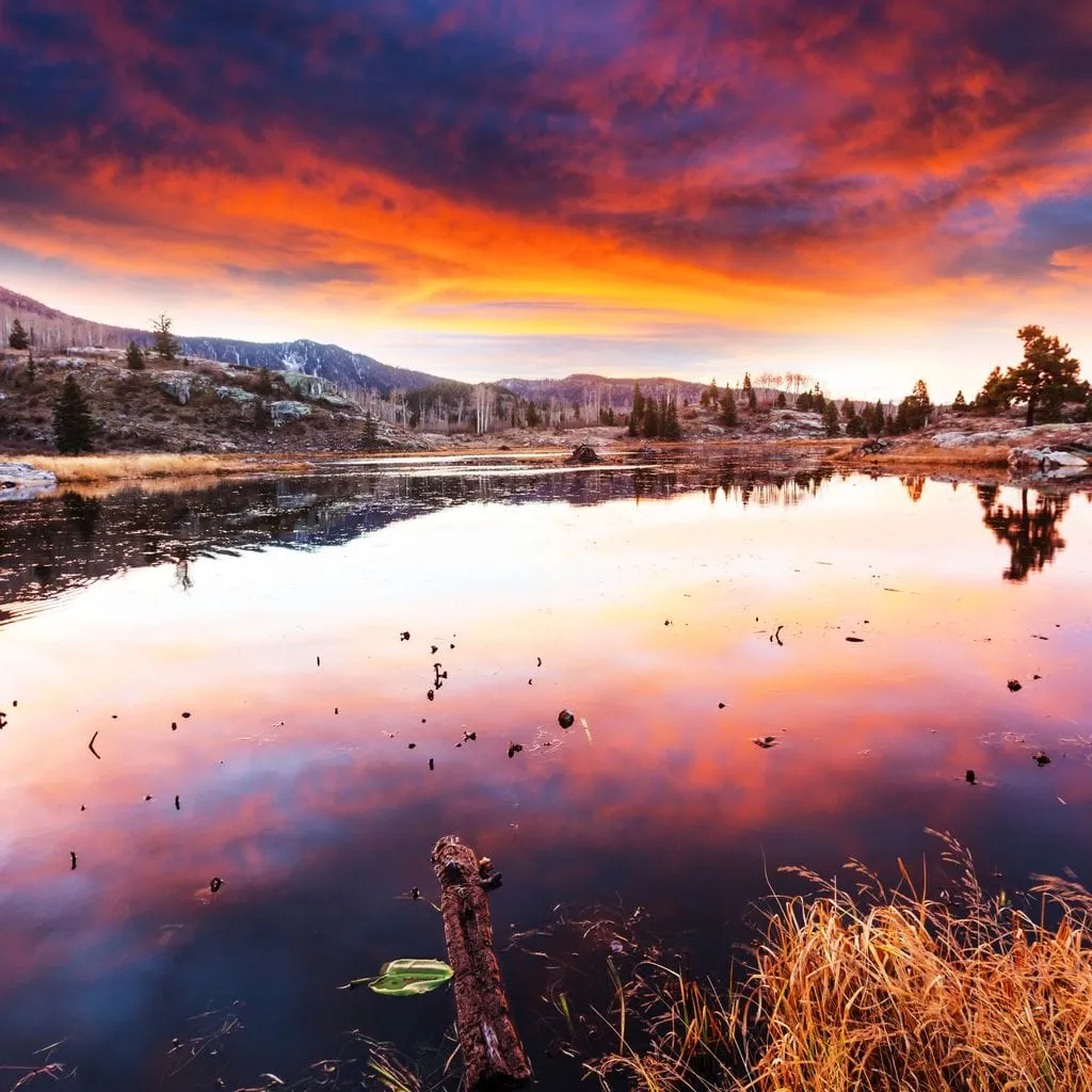 Beautiful Lake Sunset