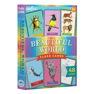 Beautiful World Flash Cards