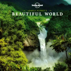 Beautiful World (Mini)