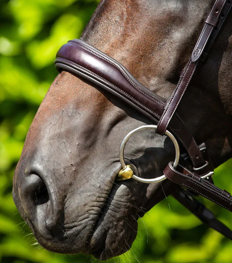 Bridle Parts - Anatomical Cavesson Noseband (PEI)