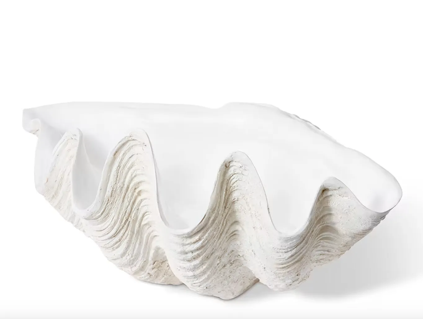 Clam Shell Sculpture