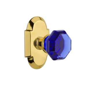 Cottage Short Plate with Cobalt Waldorf Knob in Polished Brass