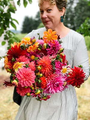 Dahlia Seeds “Triple Wren Farm Crossing Mix” (20 seeds)