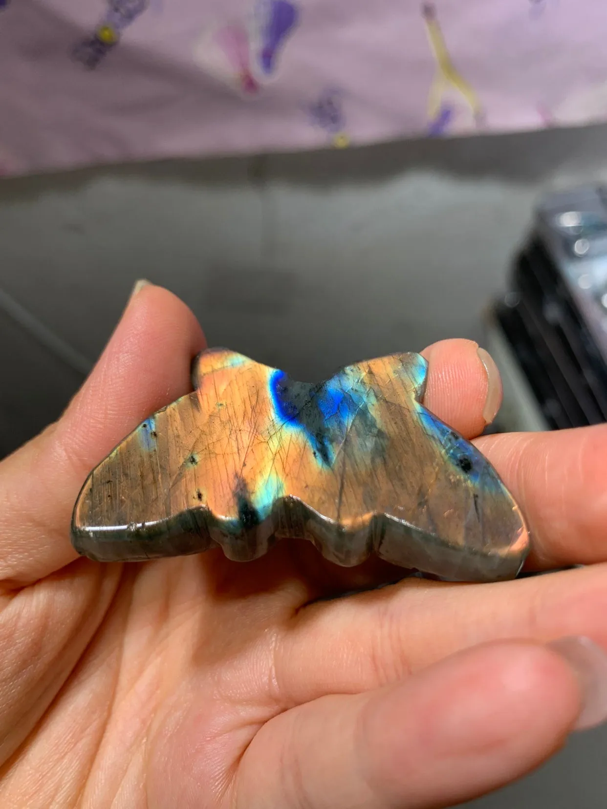 Labradorite Butterfly!!So Beautiful!!!!