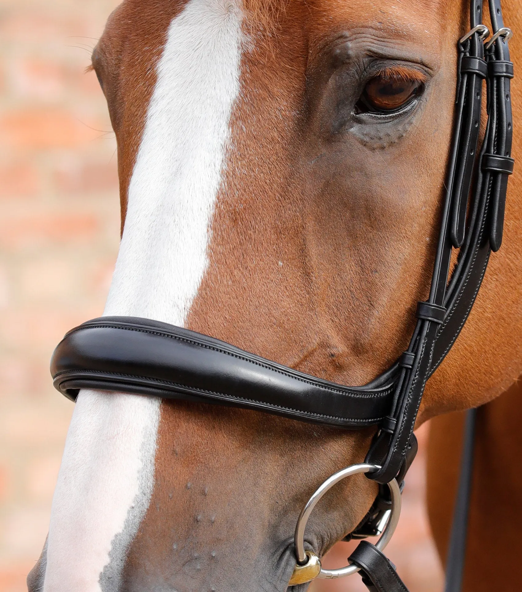 Lambro Anatomic Bridle with Crank Noseband