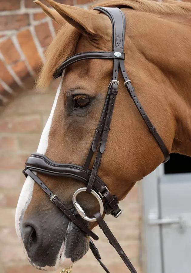 PEI Favoloso Anatomic Bridle