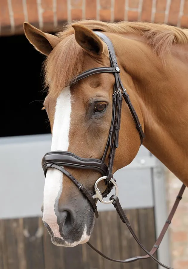 PEI Favoloso Anatomic Bridle