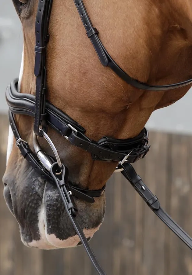 PEI Favoloso Anatomic Bridle