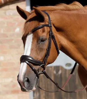 Premier Equine Rizzo Anatomic Snaffle Bridle with Flash