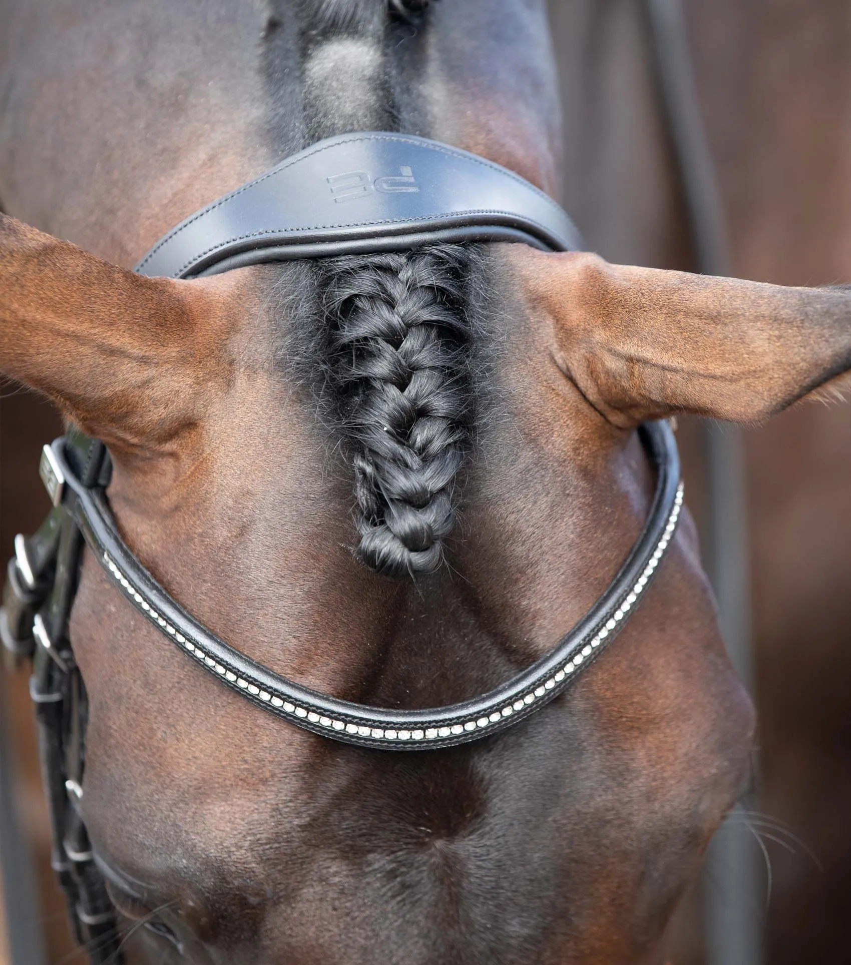 Stellazio Anatomic Snaffle Bridle with Flash Black