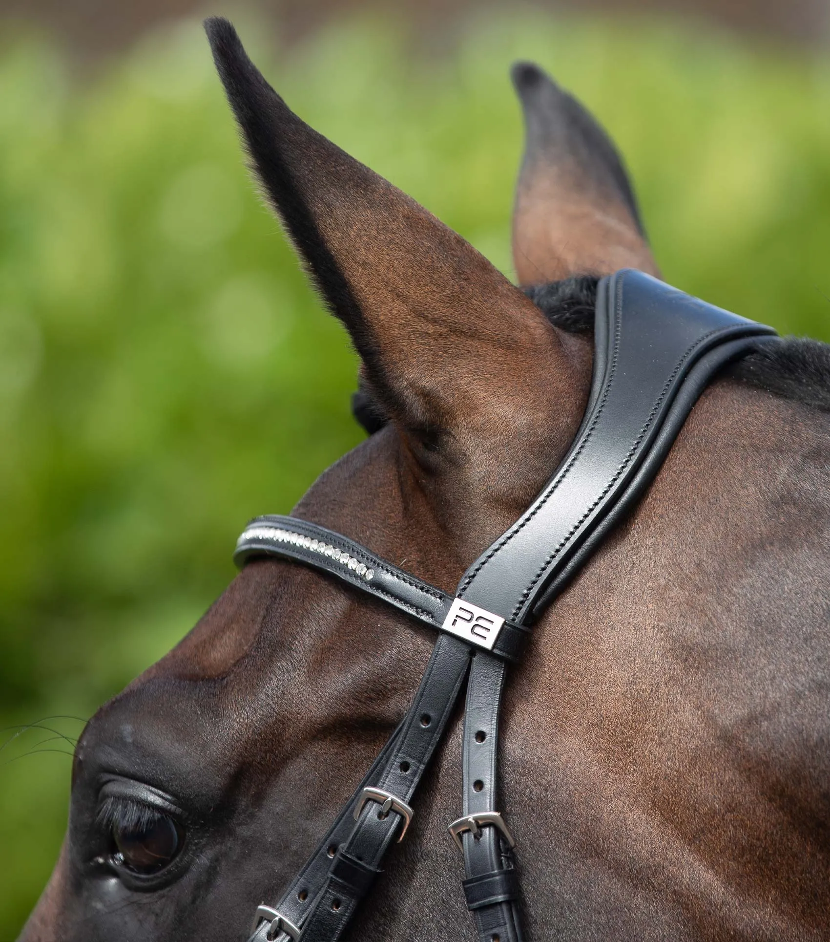 Stellazio Anatomic Snaffle Bridle with Flash Black