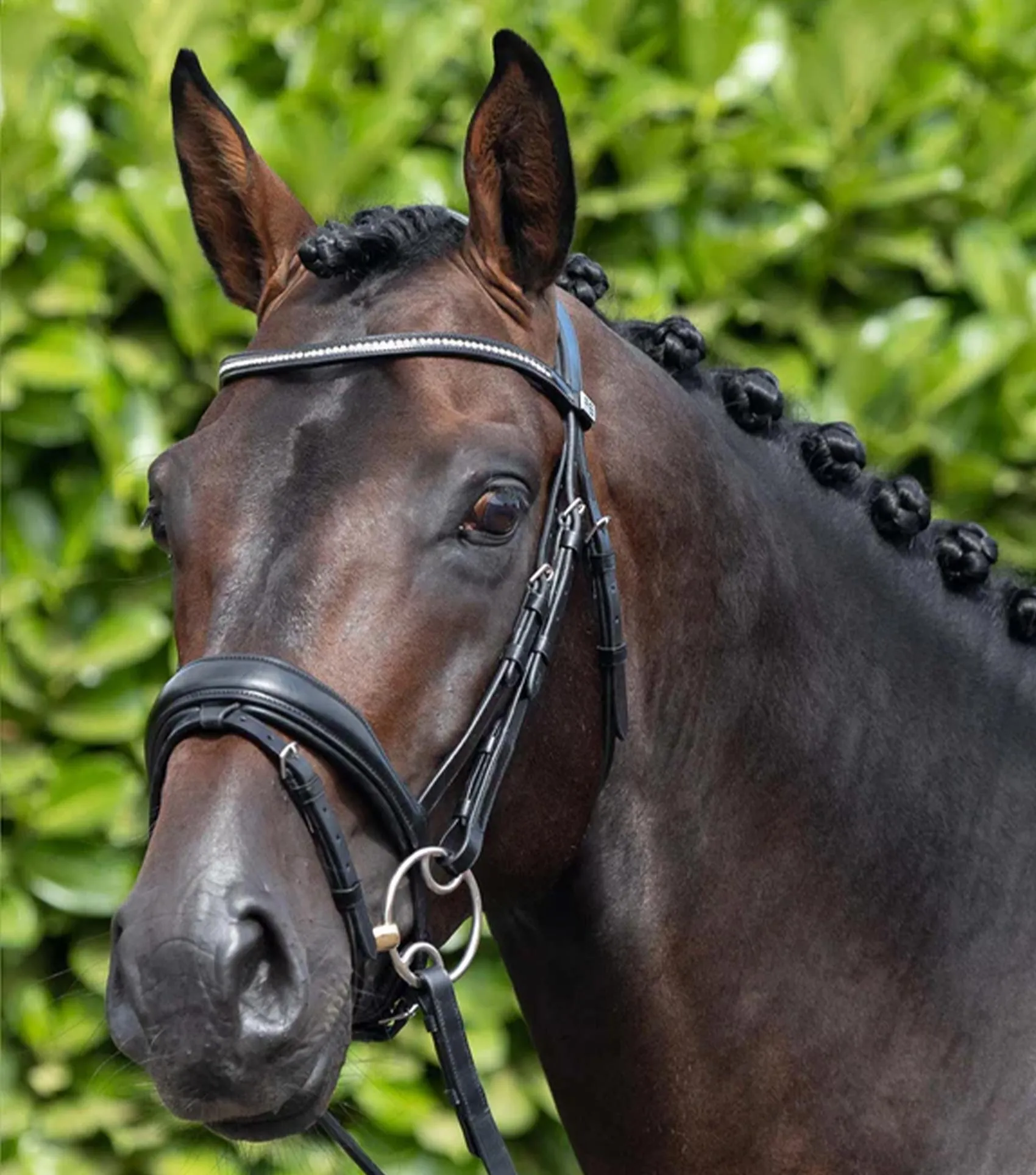 Stellazio Anatomic Snaffle Bridle with Flash Black