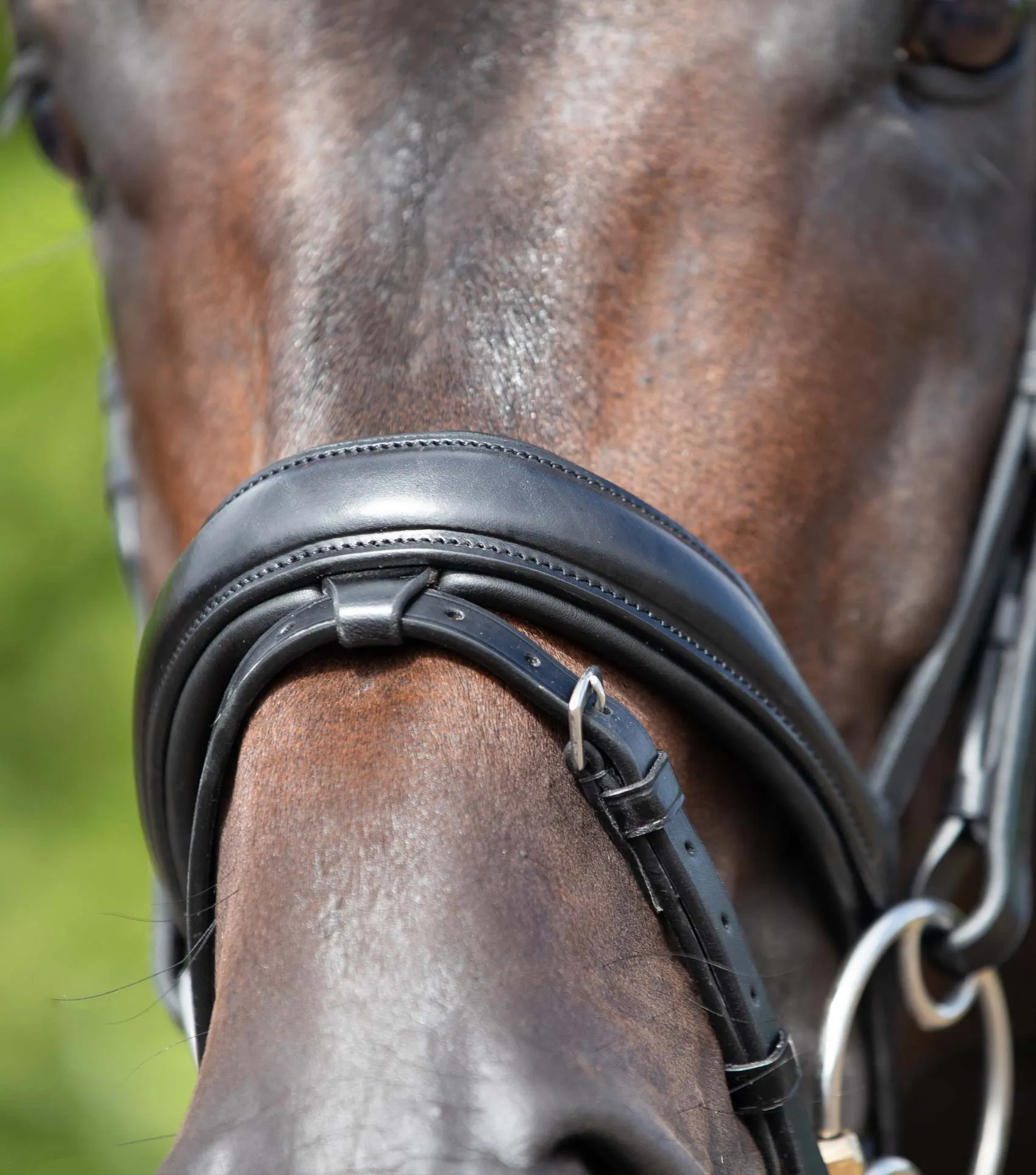 Stellazio Anatomic Snaffle Bridle with Flash Black