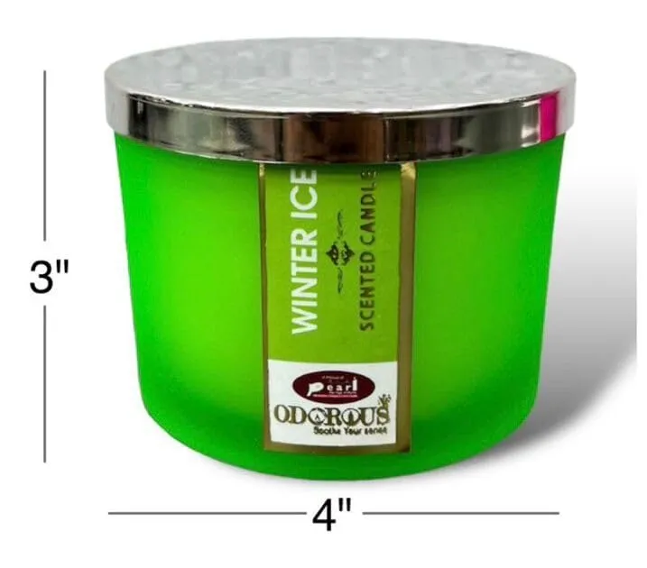 The Decor Affair 1 Pcs Artisan-Crafted Scented Candle Infused with The Essence of Winter Ice for an Exquisite Autumnal Atmosphere of Cozy Elegance.