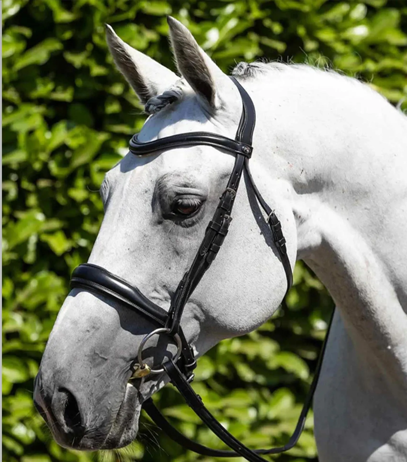 Verdura Anatomic Snaffle Bridle Black