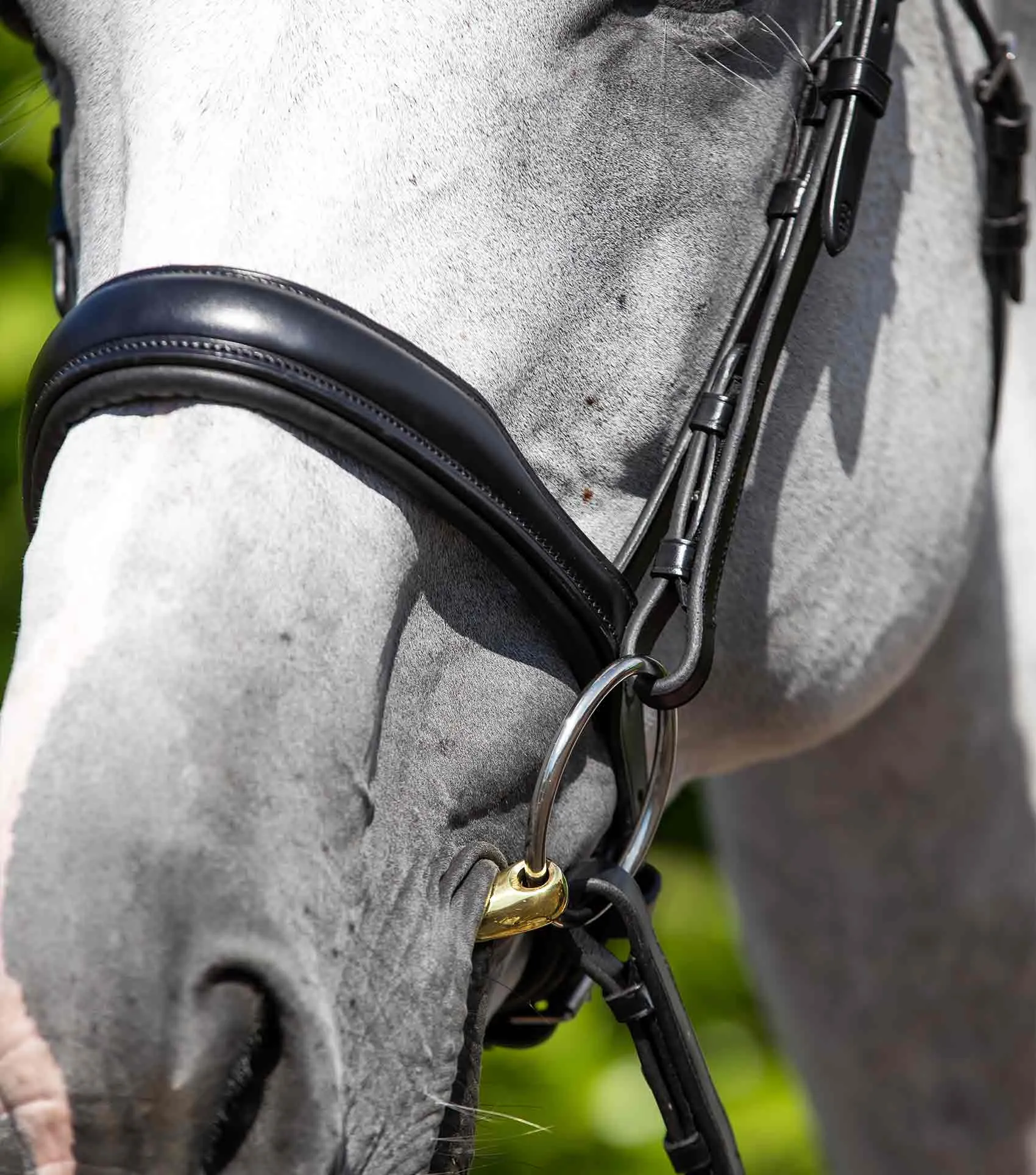 Verdura Anatomic Snaffle Bridle Black