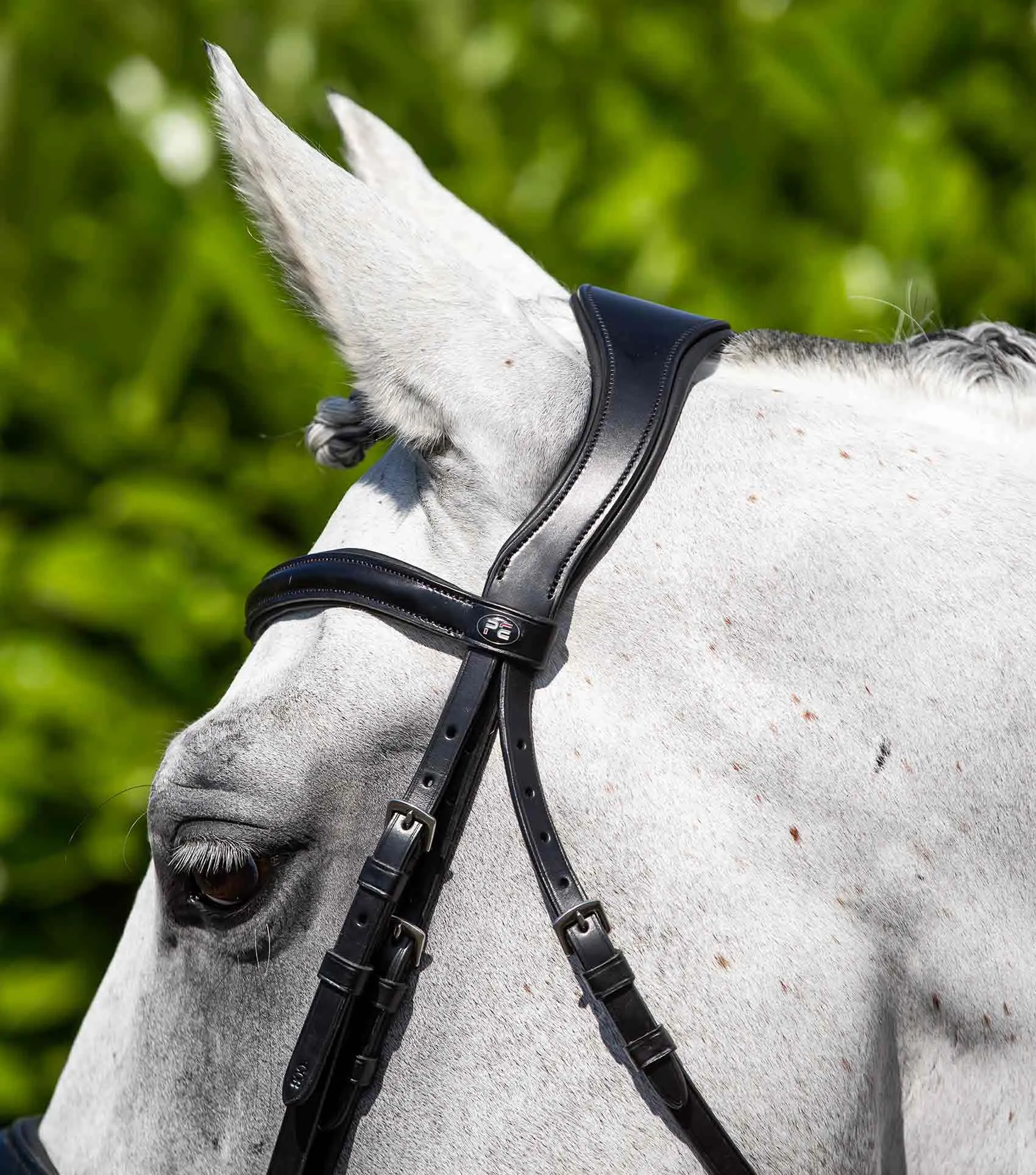 Verdura Anatomic Snaffle Bridle Black