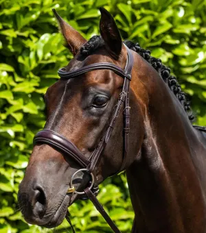 Verdura Anatomic Snaffle Bridle Brown